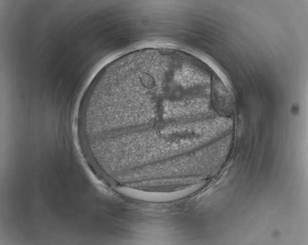 X0000116870861201001121300