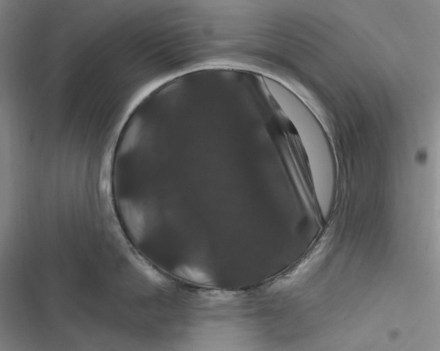 X0000116870862201001121300