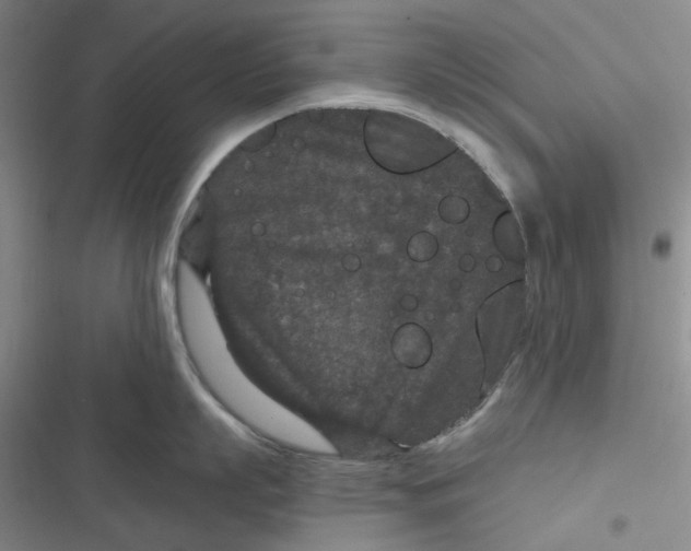 X0000116870863201001121300