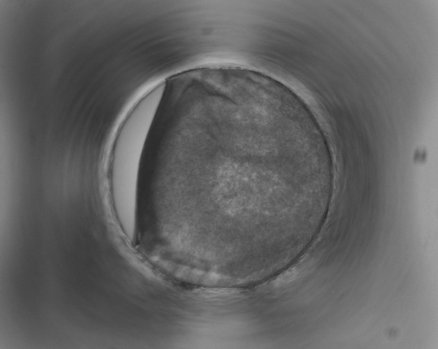 X0000116870864201001121300