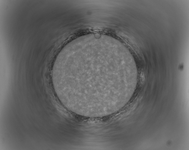 X0000116870865201001121259