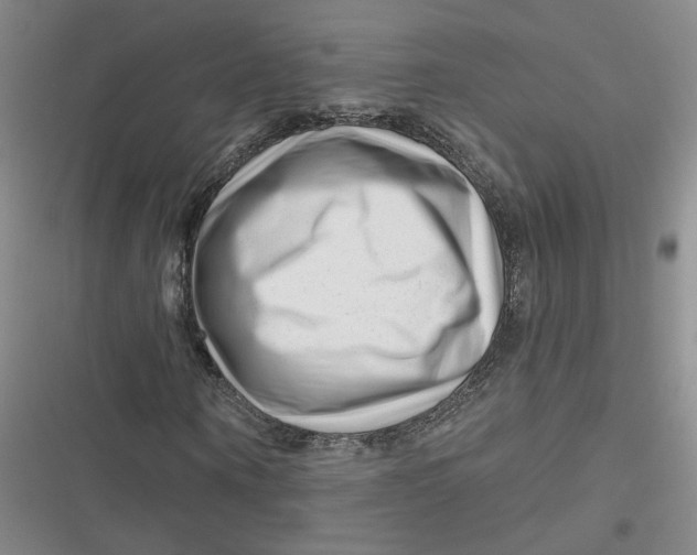 X0000116870866201001121259