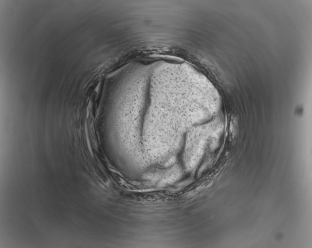 X0000116870867201001121259