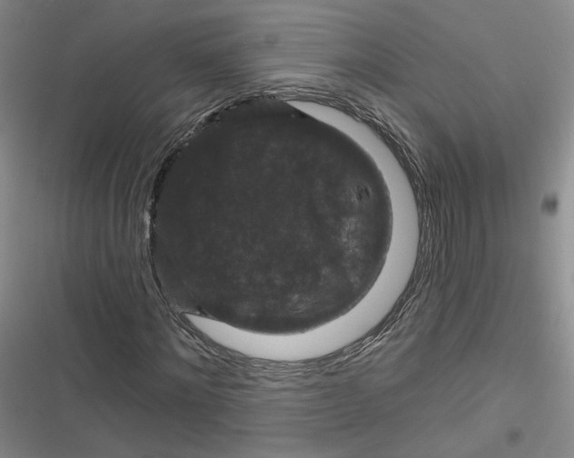 X0000116870868201001121259