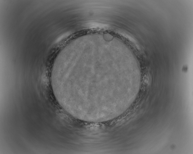 X0000116870869201001121259