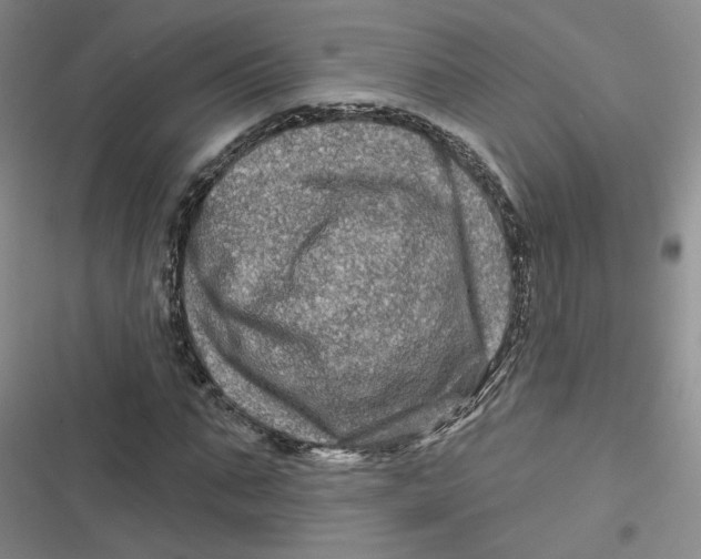 X0000116870871201001121259