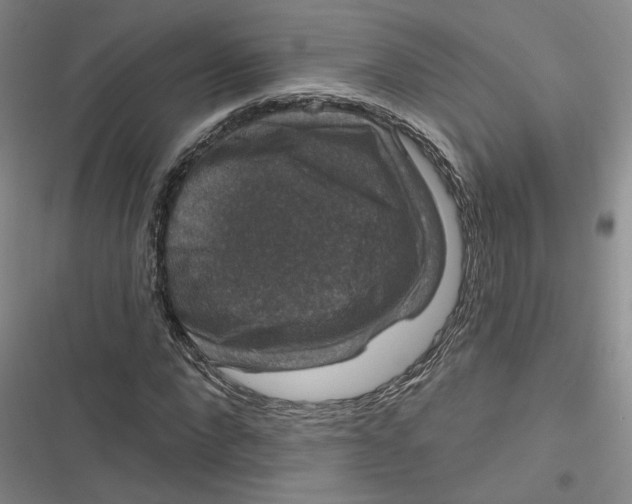 X0000116870872201001121259