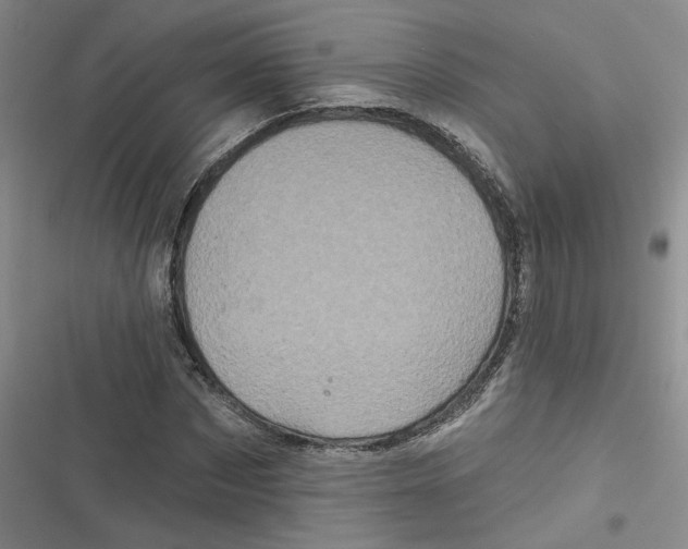 X0000116870873201001121259