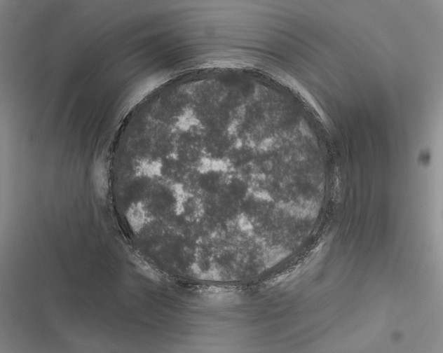 X0000116870874201001121259