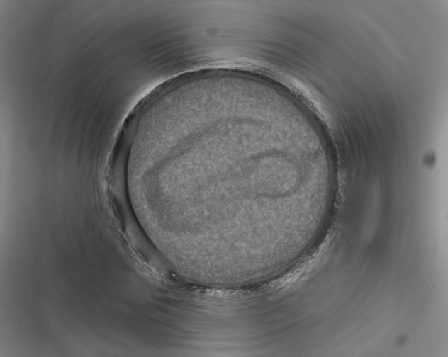 X0000116870875201001121259