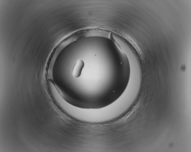 X0000116870876201001121259