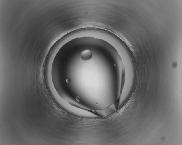 X0000116870877201001121259