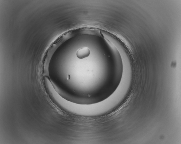 X0000116870878201001121259