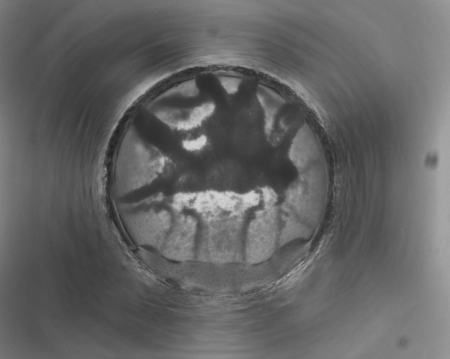 X0000116870879201001121259