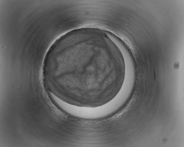 X0000116870880201001121259