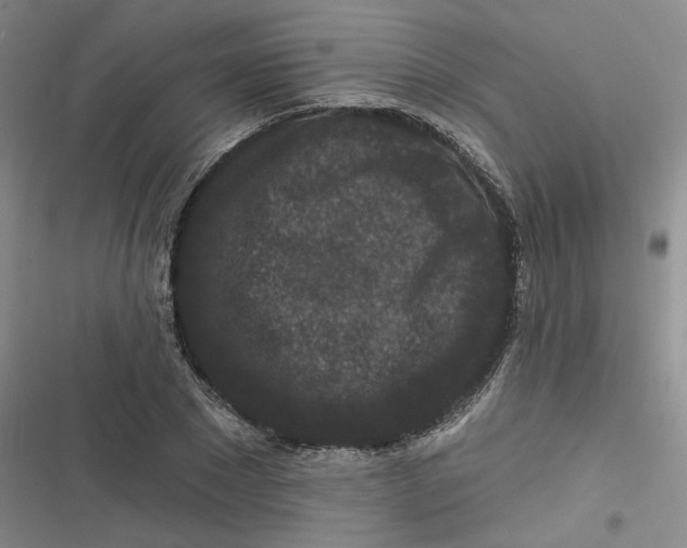 X0000116870881201001121259