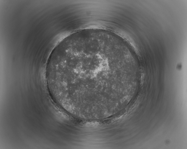 X0000116870882201001121259