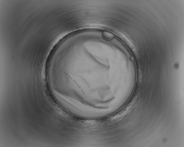 X0000116870883201001121259