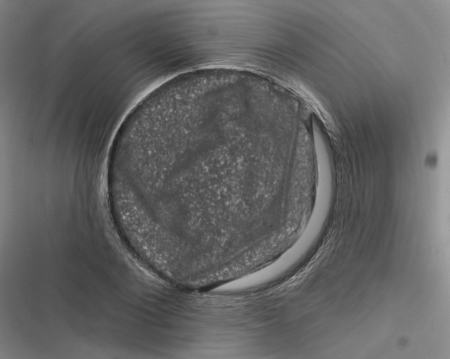 X0000116870884201001121259