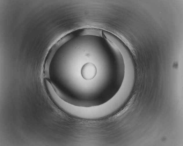 X0000116870885201001121259