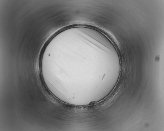 X0000116870887201001121259