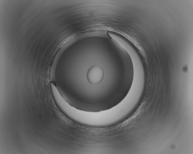 X0000116870889201001121259