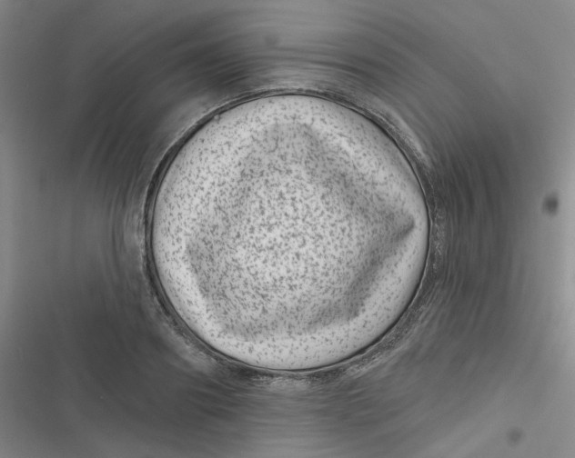 X0000116870890201001121259