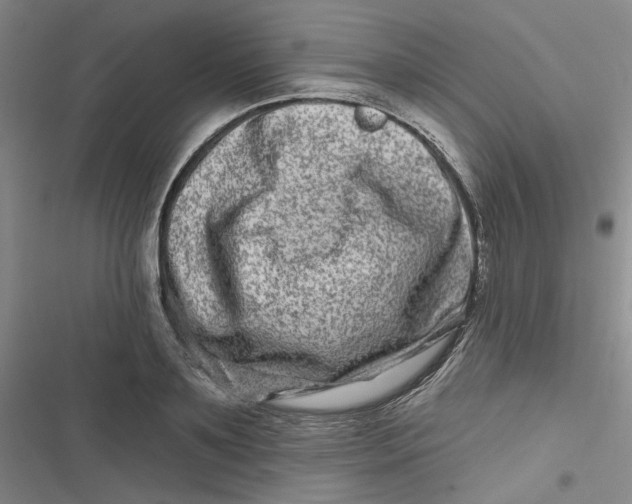 X0000116870891201001121259