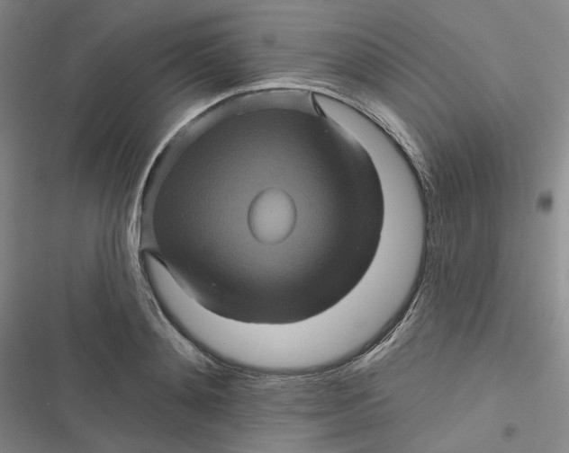 X0000116870892201001121259