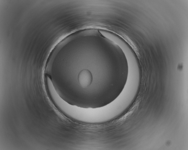 X0000116870893201001121259