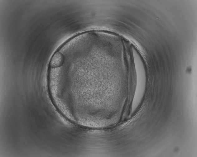 X0000116870894201001121259