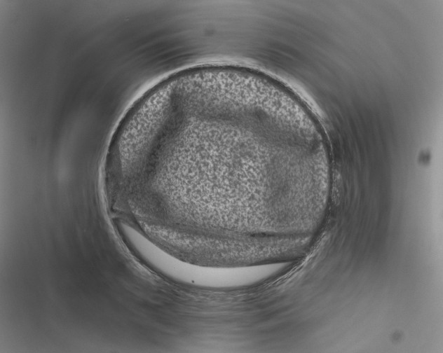 X0000116870895201001121259