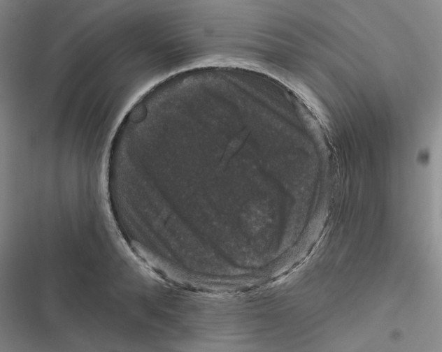 X0000116870896201001121259