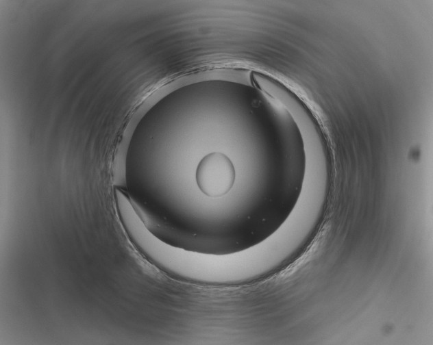 X0000116870897201001121259