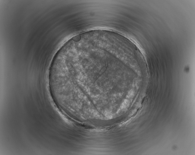 X0000116870898201001121259