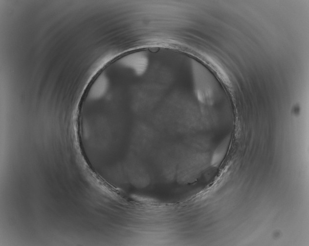 X0000116870899201001121259