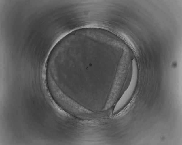 X0000116870900201001121259