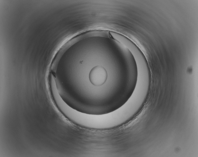 X0000116870901201001121259