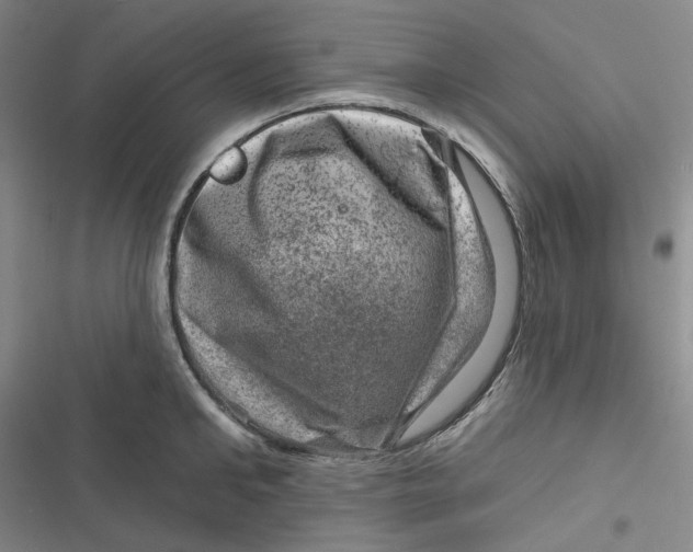 X0000116870902201001121259