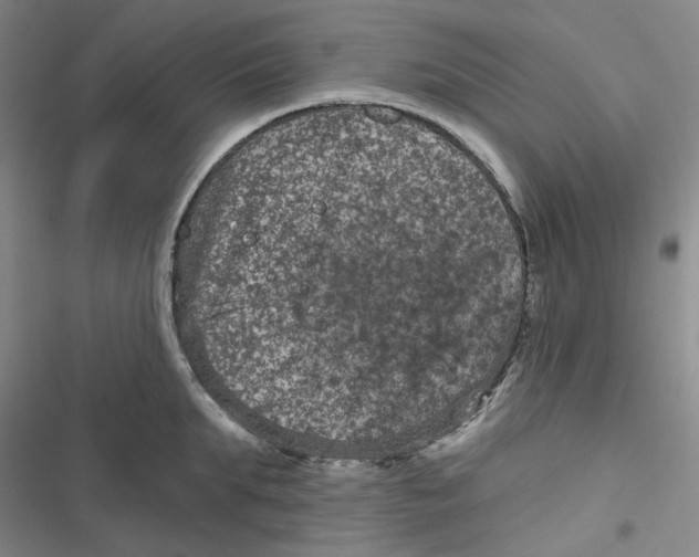 X0000116870903201001121259