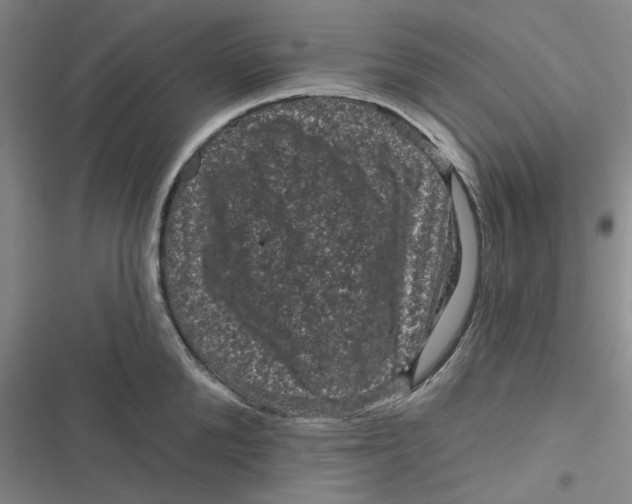 X0000116870904201001121259