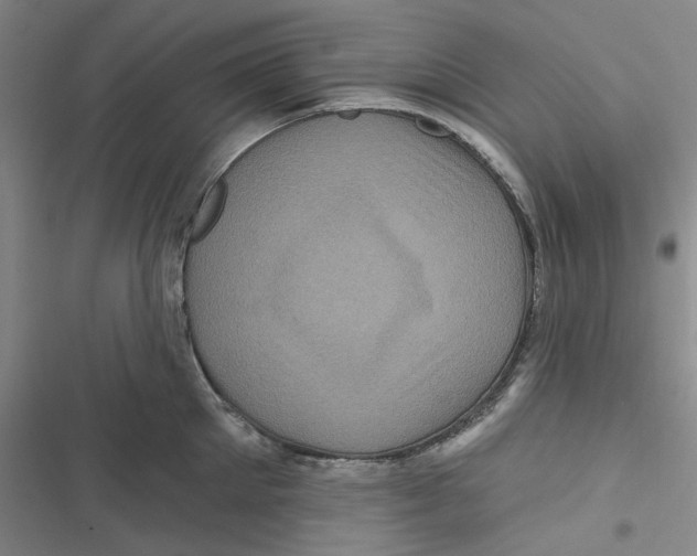 X0000116870905201001121259