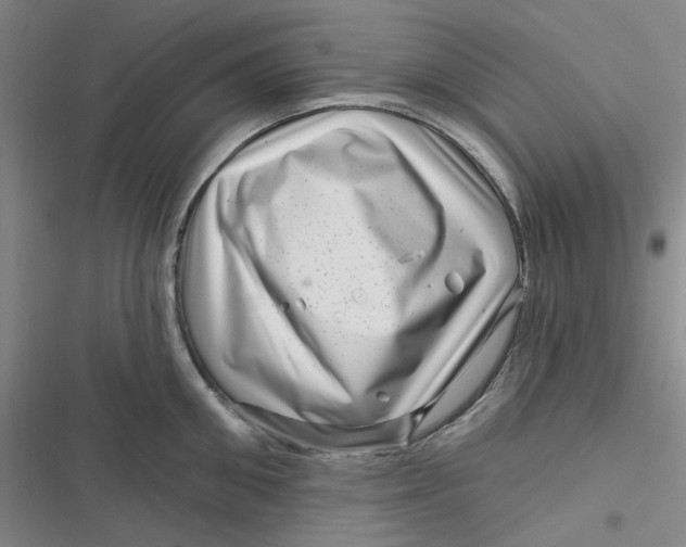 X0000116870906201001121259