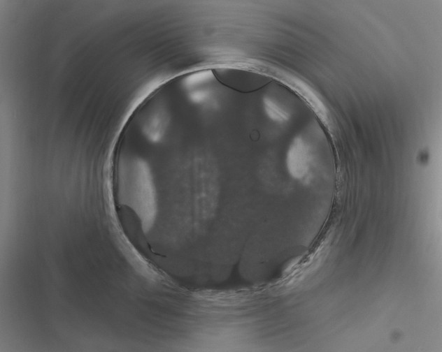 X0000116870907201001121259