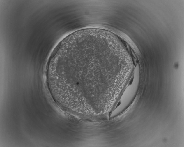 X0000116870908201001121259