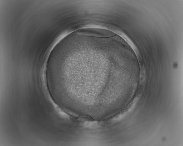 X0000116870909201001121259