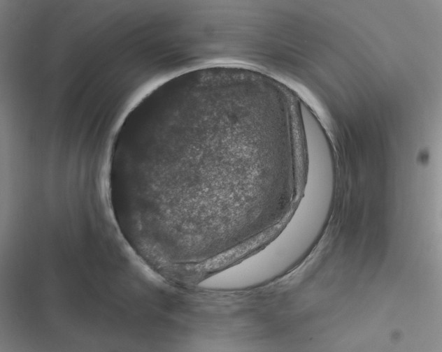 X0000116870910201001121259