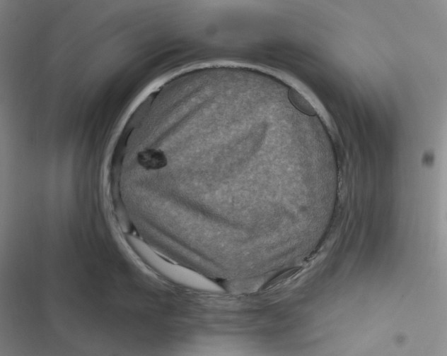 X0000116870911201001121259