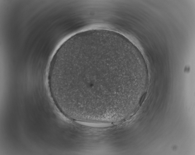 X0000116870912201001121259