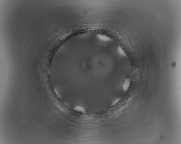 X0000116870913201001121258